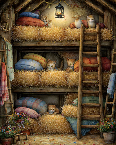 Barn cats sleeping - cats,