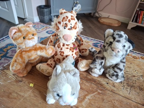 Cat plush bundle 4 - x,