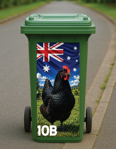 Australorp chicken aussie - chicken,