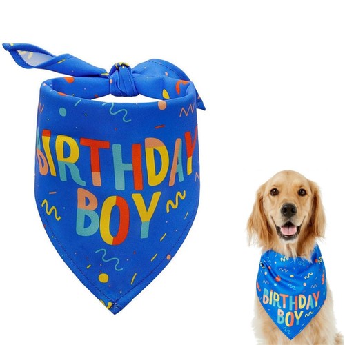 Dog birthday bandana boy - dog,