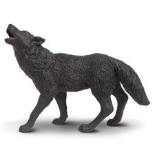 Black Wolf North American