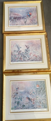 Rinalda ward limited edition - limited,