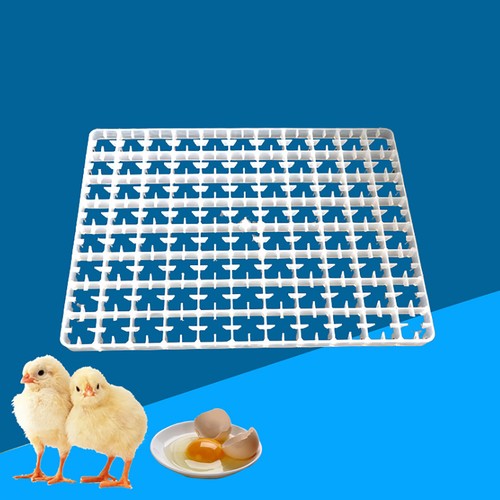 Egg hatching incubator - hatching, trays