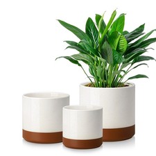 vancasso 1pc/3pc Ceramic Plant