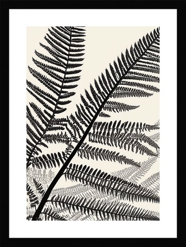 Pristine fern fronds - pristine,