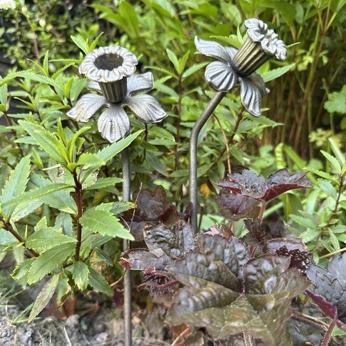 Set metal daffodil garden - 2,