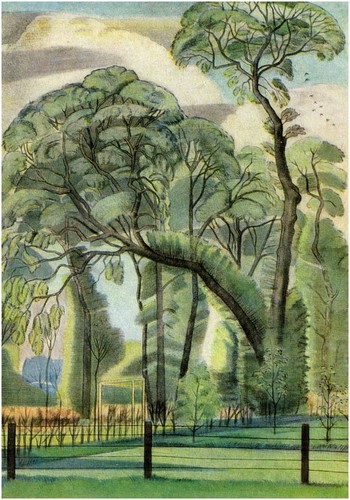 The elms paul nash - elms, vintage