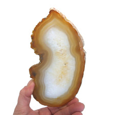 Brown Agate Slice Large Banded