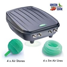 BLAGDON FOUR OUTLET POND