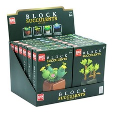 Block tech succulents - succulents,