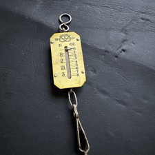 Vintage Mini Slater Lettuce