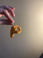 A Hand Made Orange Letter P