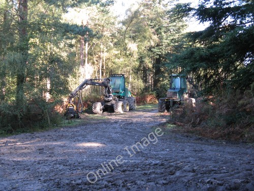 Photo 6x4 forestry machinery - photo,