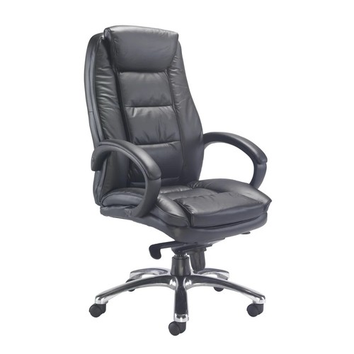 Executive office chair - office,