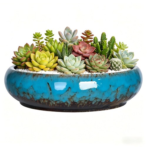 Inch succulent pot - 10-inch,
