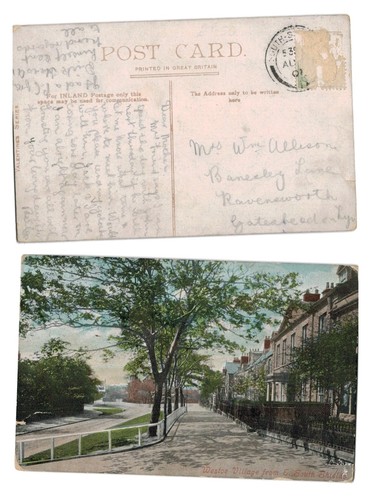 Vintage postcard westoe - -,