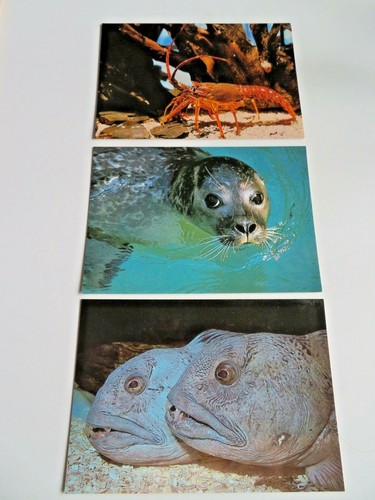 Reduced 3 - £8:00.,