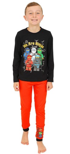 Boys official lego ninjago - official, we