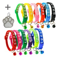 Engraved Cat Tag With Collar