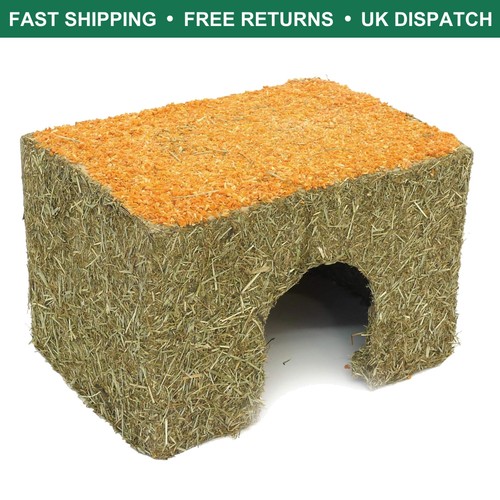 Medium edible carrot cottage - medium,