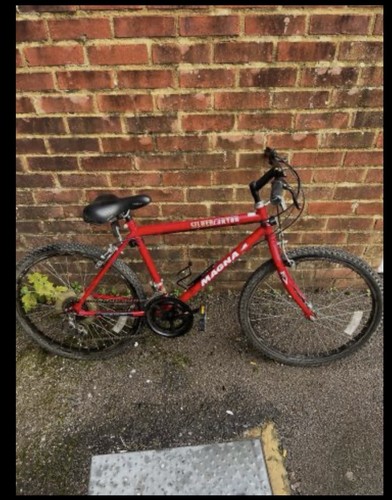 Mountain bike magna - mountain, silver