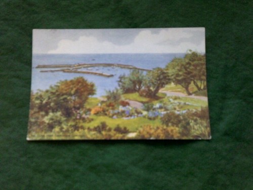 Lyme regis dorset - regis, cobb