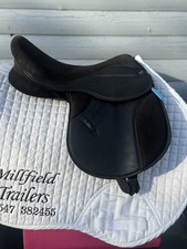 Black 14.5 Inch Griffin Pony