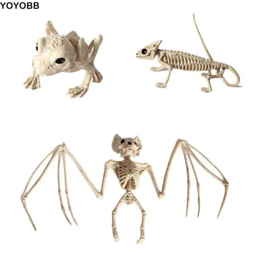 Halloween bat skeleton model - halloween,