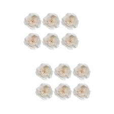 6pcs Diffusers Natural