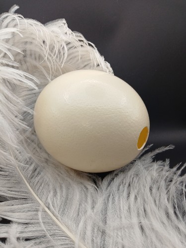 Perfect small size blown - perfect,