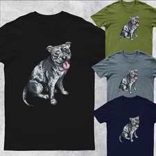 Merle American Bully Funny