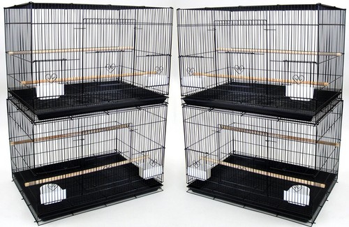 Large lot 4 breeding - 30",