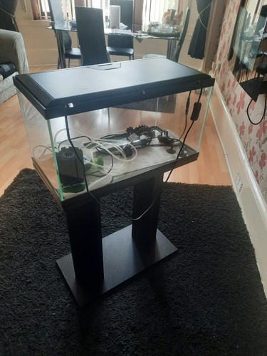 Aquarium fish tank with stand - fish,