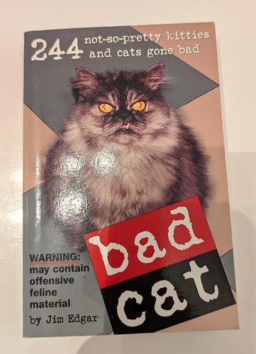Bad cat small book - small,