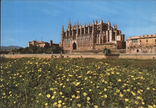 Palma mallorca cathedral - palma, de