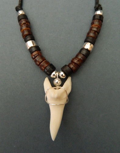 Large shark tooth shape