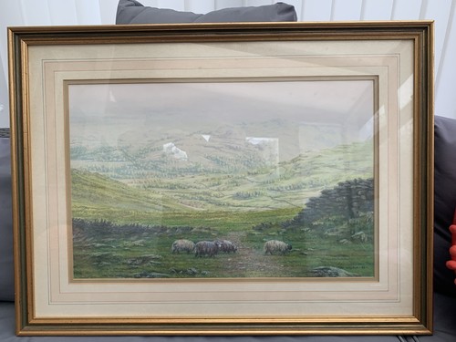 Fantastic peter worswick - peter,