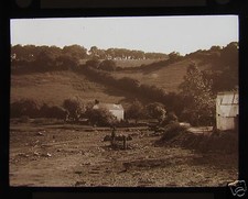 Glass Magic Lantern Slide FARM
