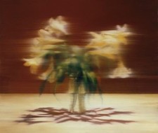 Gerhard Richter : Panorama