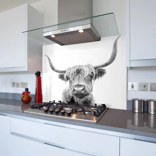 Highland cow iii - cow,