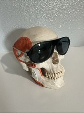 RAF Simons X Linda Farrow Collaboration Unisex Aviator Sunglasses Japan Blue