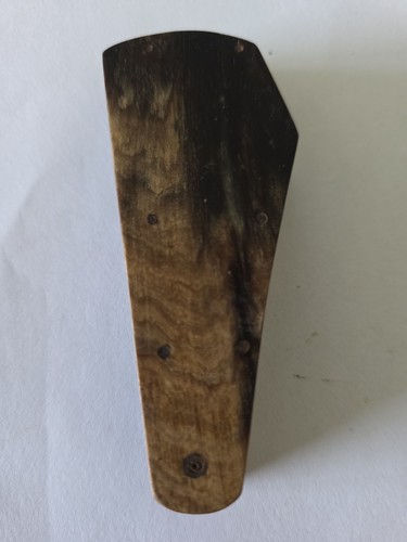 Antique 19th centuary vetenary - antique,