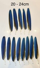 Parrot Macaw Feather Crafts