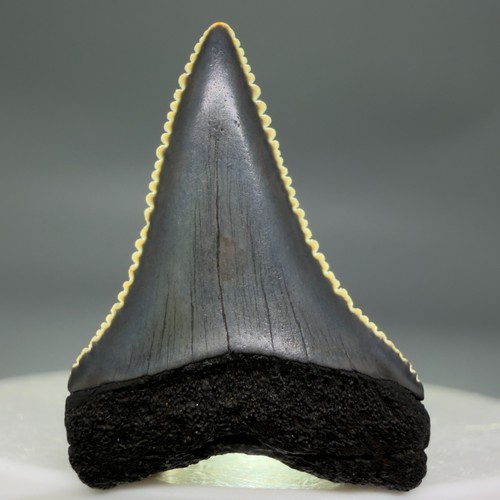 Uncommon dark colors 24 - colors, 1.24"