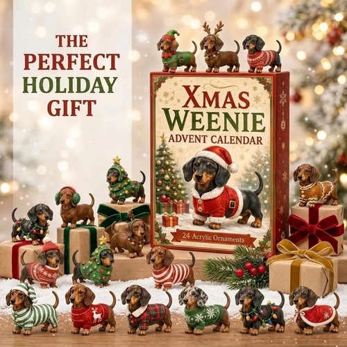 Dachshund dog christmas advent - dachshund,