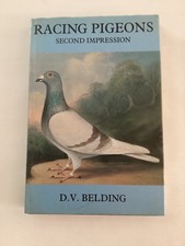 Racing Pigeons, D. V. Belding