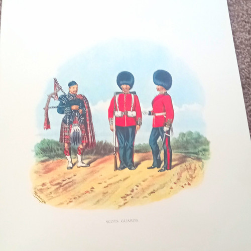 Scots guards colour military - scots,
