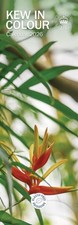 Carousel Calendars - Royal Botanic Gardens Kew in Colour Slim Calendar 2026