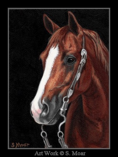 Sorrel horse western bridle - western,