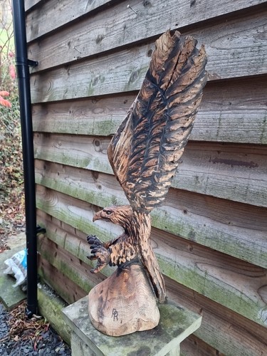 Chainsaw carving eagle - chainsaw,